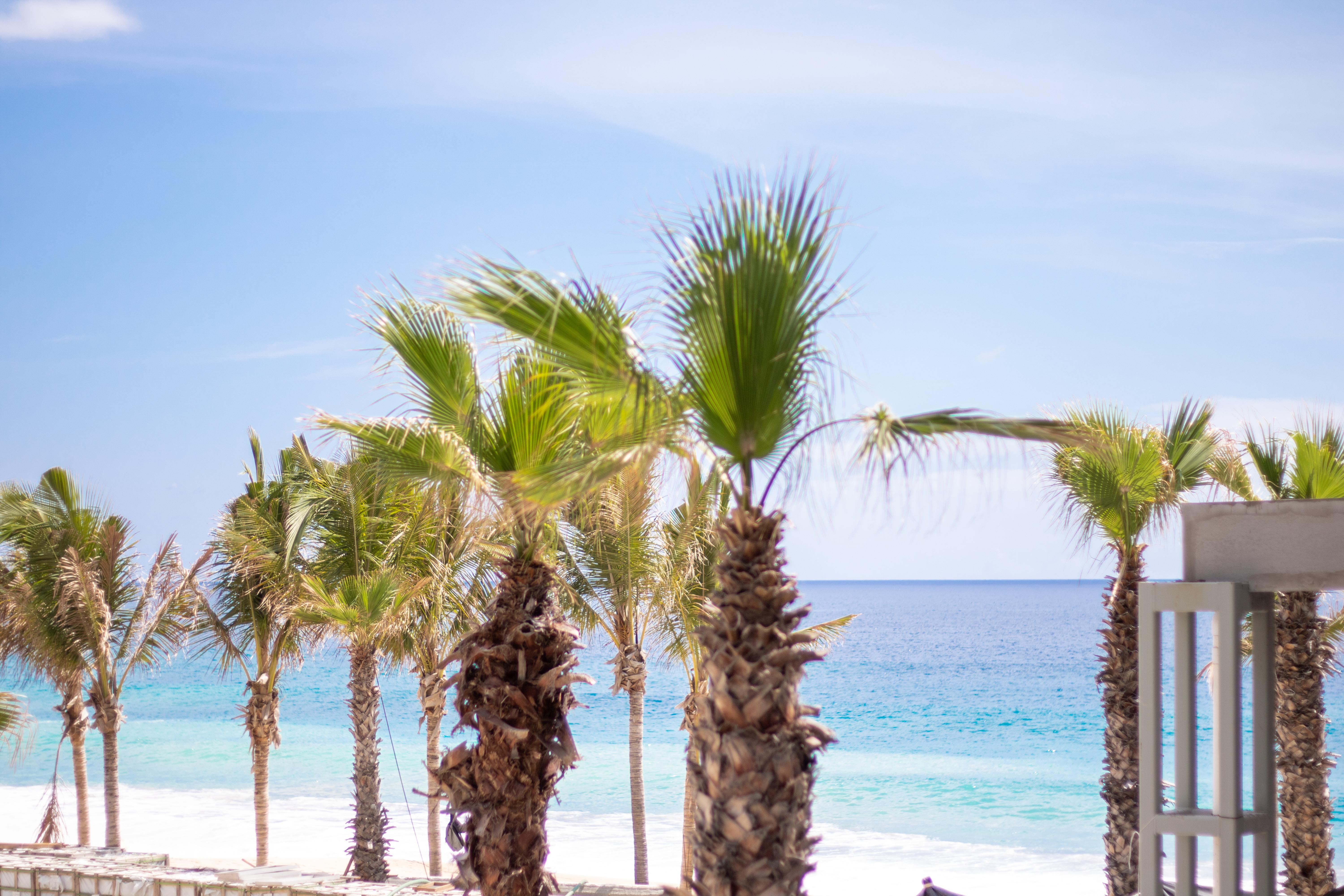 Garza Blanca Resort & Spa Los Cabos Кабо-Сан-Лукас Экстерьер фото